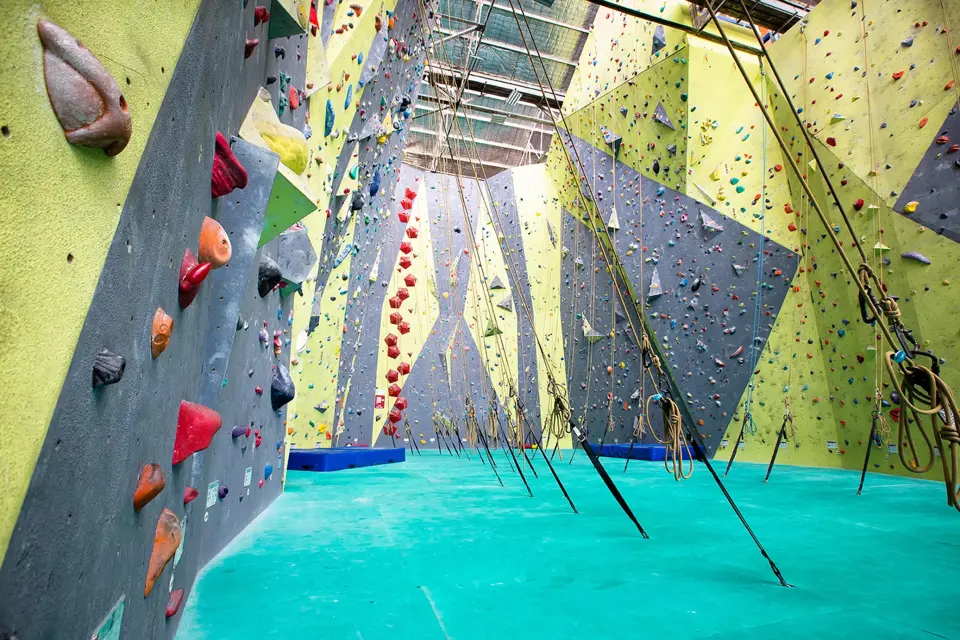 The roped hall at Sydney Indoor Climbing Gym in St Peters, with ropes hanging down tall yellow and grey walls