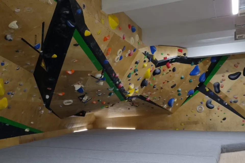 Boulder Jungle